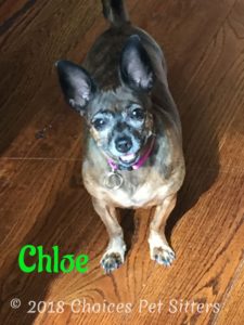 Chloe
