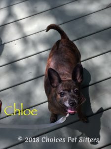 Chloe