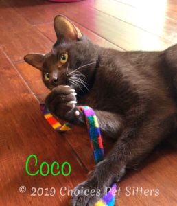 Coco