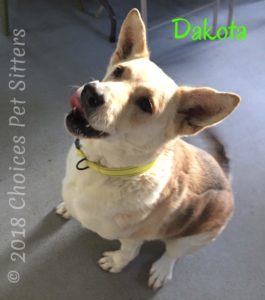 Dakota