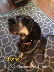 Dixie
