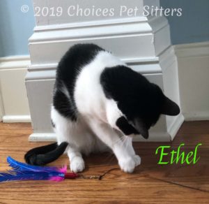 Ethel