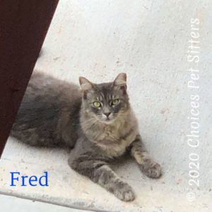 Fred