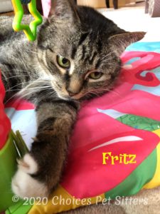 Fritz #2