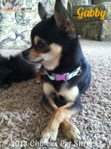 Gabby