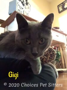Gigi