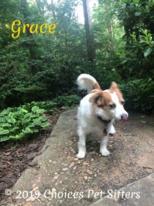 Grace