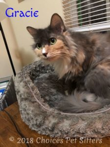 Gracie