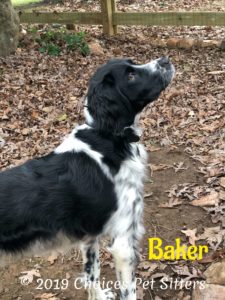 Baker