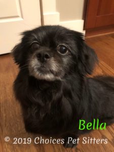 Bella