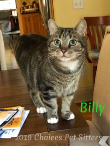 Billie