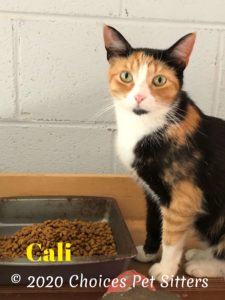 Cali