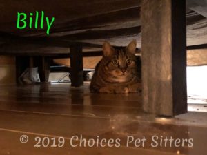 Billy