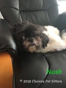 Nash