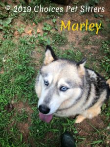 Marley