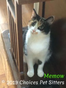 Memow #1