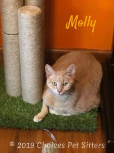 Molly