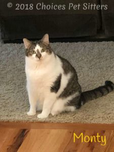 Monty