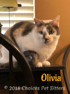 Olivia