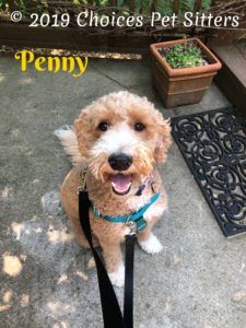 Penny #1