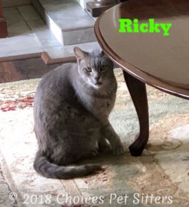 Ricky