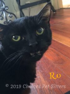 Ro