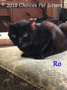 Ro #3