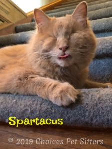 Spartacus - Lip