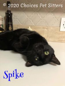 Spike #2