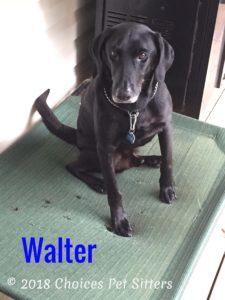 Walter