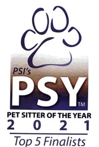 PSY 2021 Top Five Logo